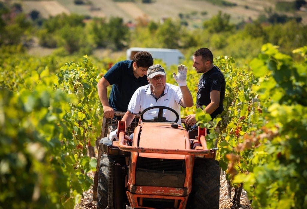 Vinarija Grabovac winery tour