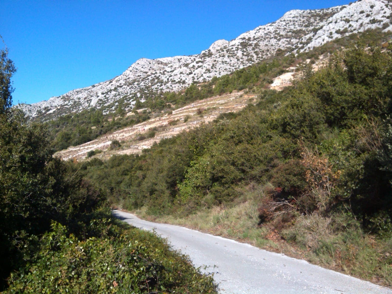 Pelješac Peninsula wine day tour