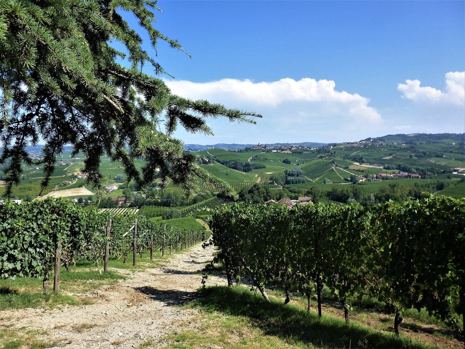 Casa di Langa — Lelòse Spa & vineyard yoga