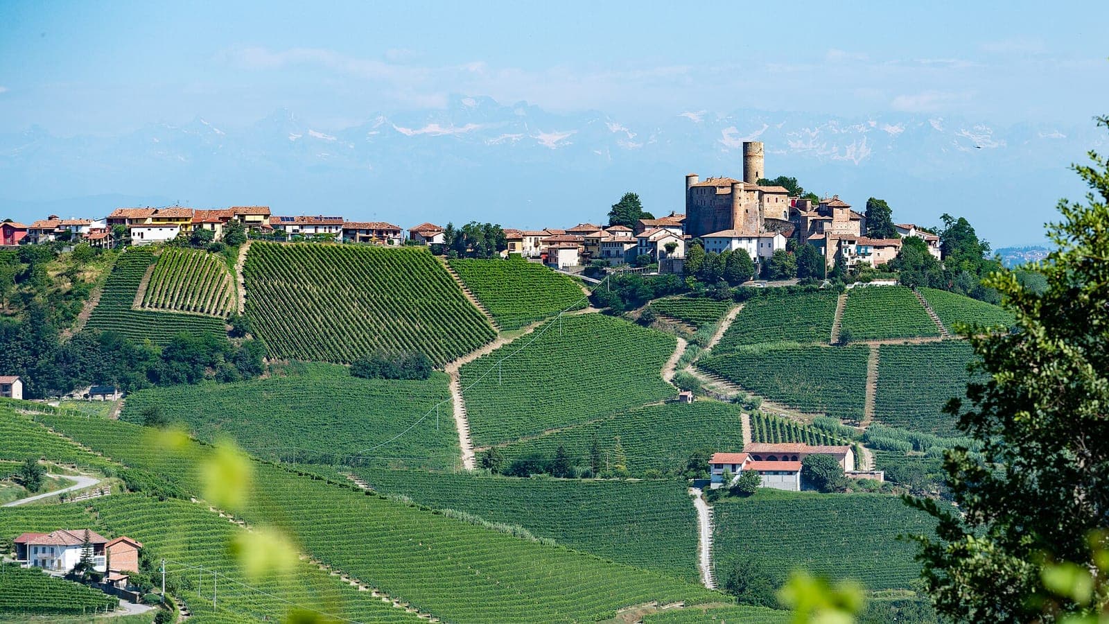 Cesarine — dinner in a local's home, Langhe