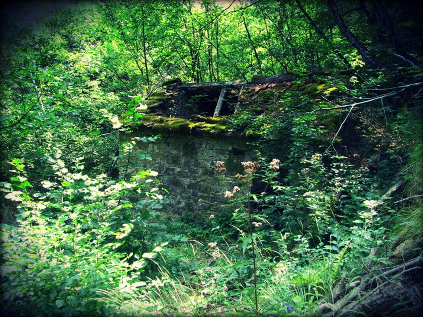 Villaggi di Pietra della Valle dei Campassi (Reneuzzi, Casoni di Vegni, Ferrazza)