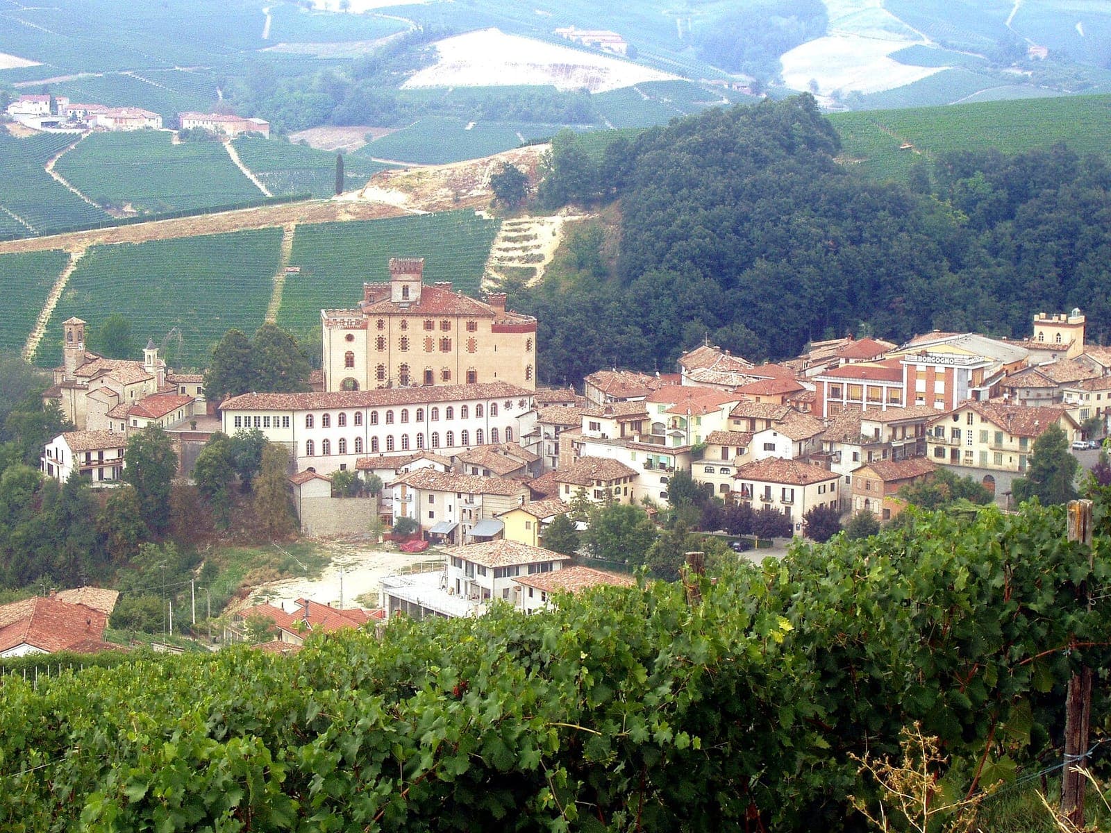 Cooking class in Barolo — Il Bosco delle Galline Volanti (tajarin/plin)