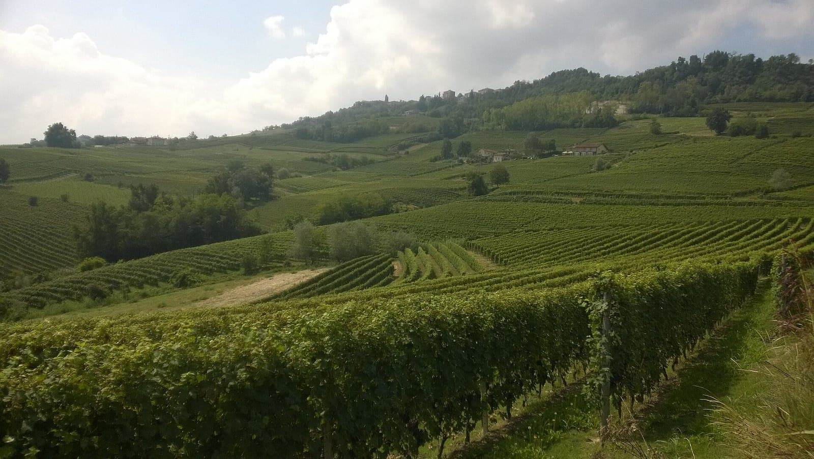 Sentiero del Barolo — La Morra to Barolo vineyard walk