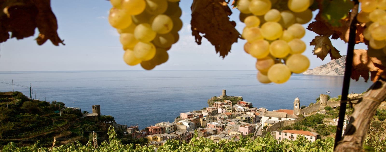 Cantina Cheo (Vernazza) – Sciacchetrà vertical tasting
