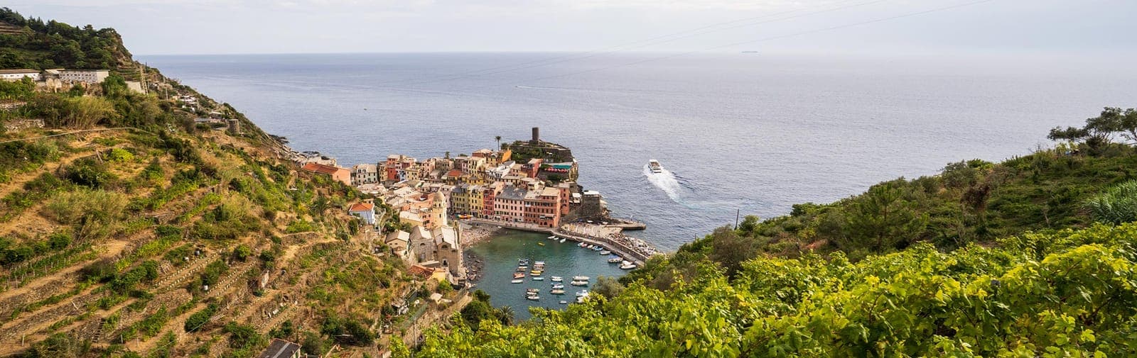 Cantina Cinque Terre (Groppo) – vineyard walk & Sciacchetrà tasting